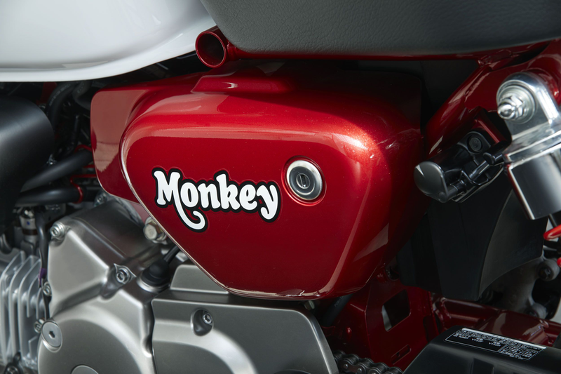 Illustration for article titled Honda Is Bringing Back The Monkey And Super Cub Mini-Bikes And They Look Overwhelmingly Good
